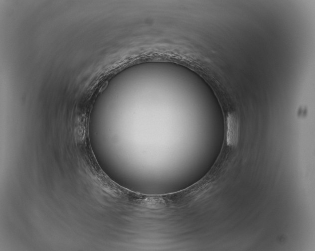 X0000111461491200907131442