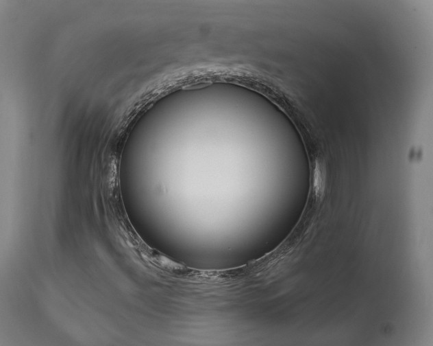X0000111461492200907131442