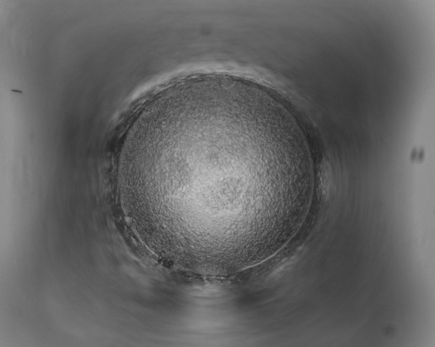 X0000111461494200907131442