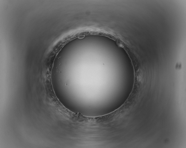 X0000111461495200907131442