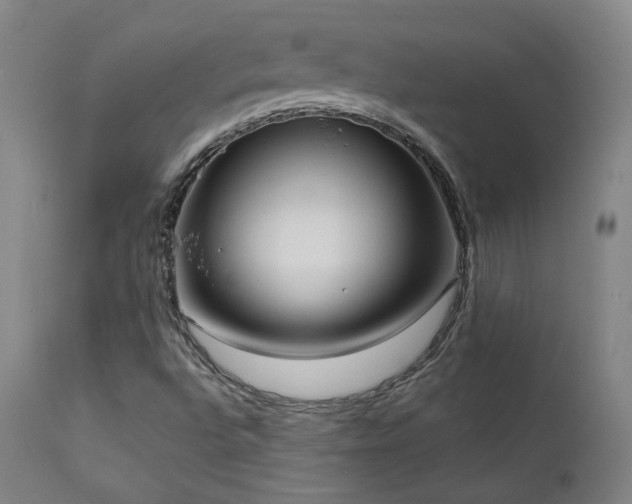 X0000111461496200907131442
