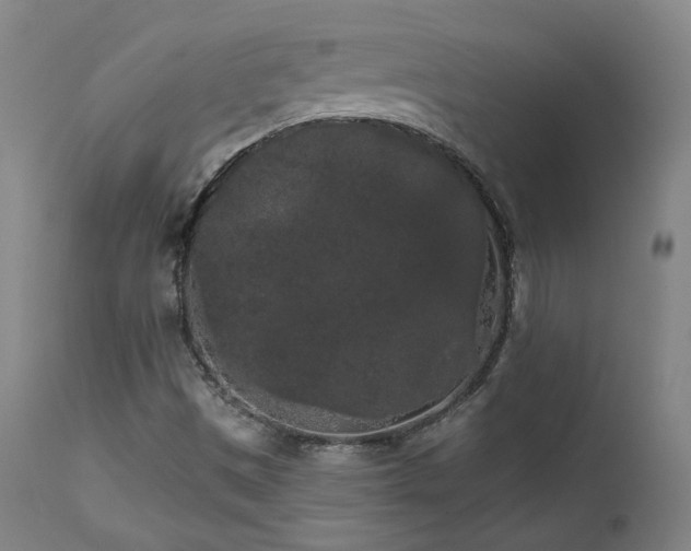 X0000111461497200907131442