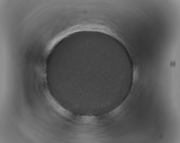 X0000111461498200907131442