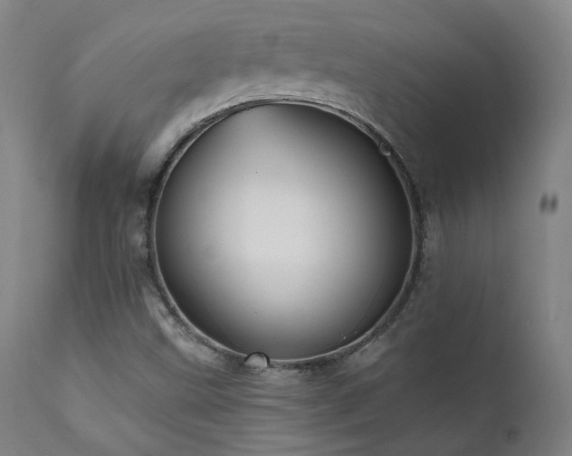 X0000111461499200907131442