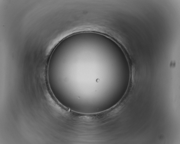 X0000111461500200907131442