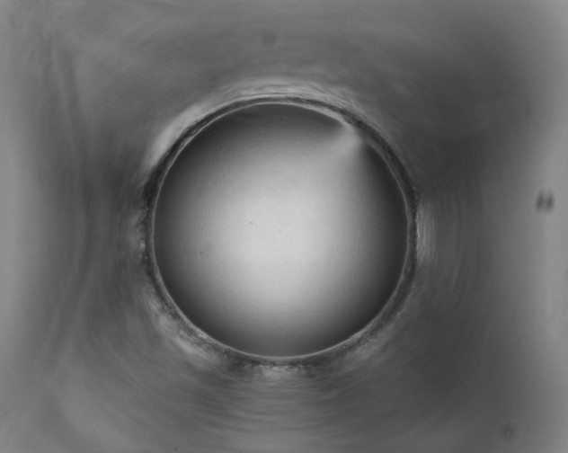 X0000111461501200907131442