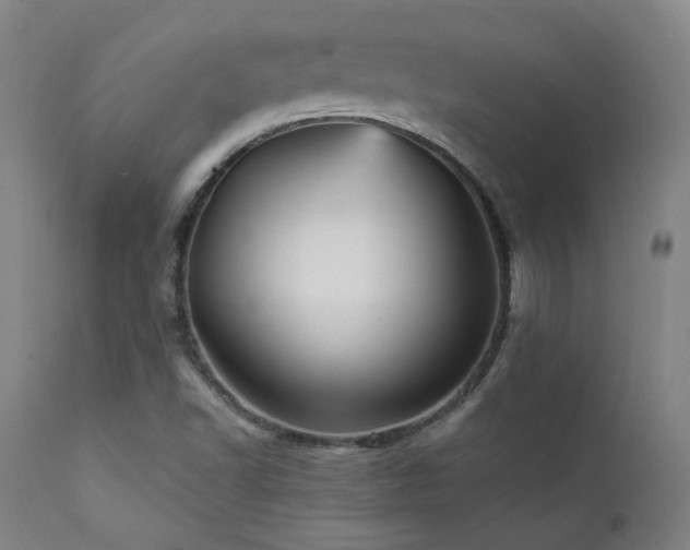 X0000111461502200907131442