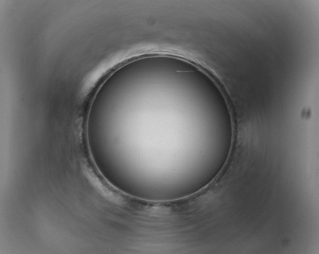 X0000111461503200907131442