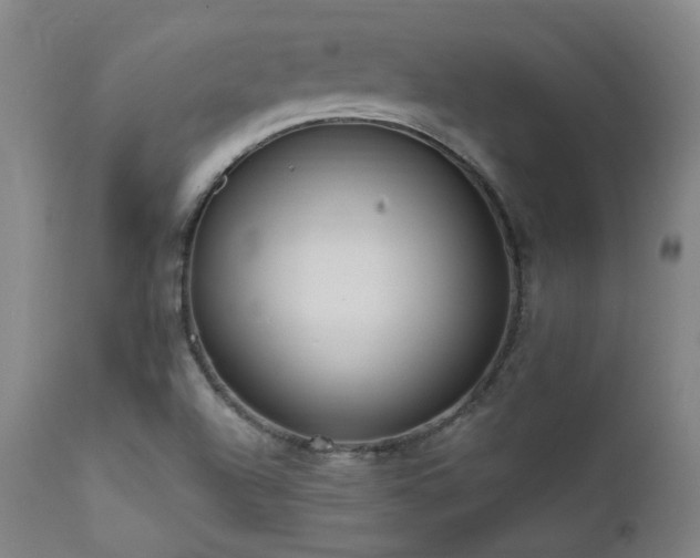 X0000111461504200907131442