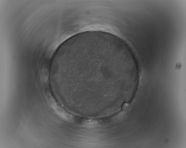 X0000111461505200907131442