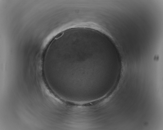 X0000111461506200907131442