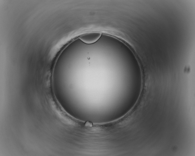 X0000111461507200907131442