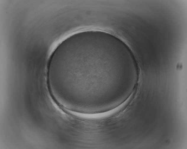 X0000111461508200907131442