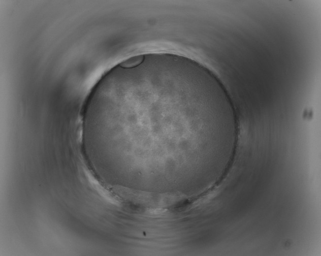 X0000111461509200907131442