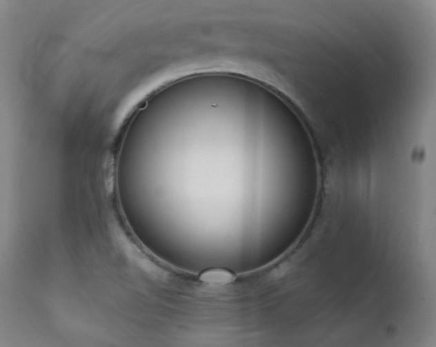 X0000111461510200907131442