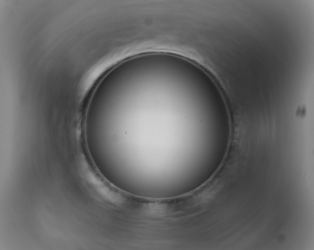 X0000111461511200907131442