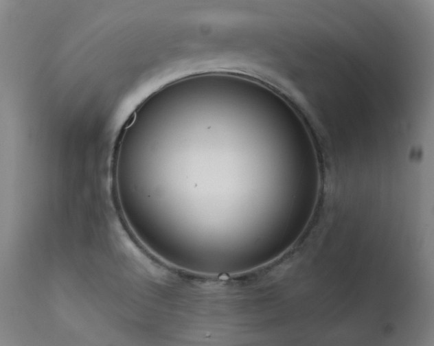 X0000111461512200907131442