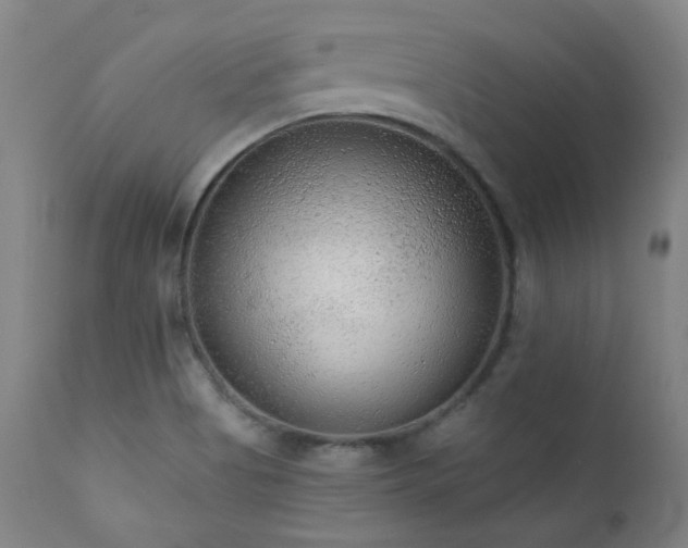 X0000111461513200907131442