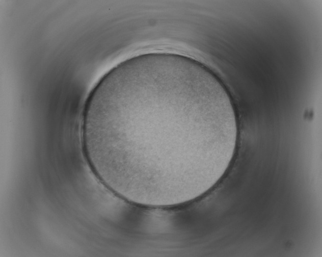 X0000111461514200907131442
