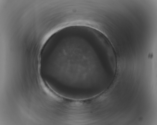 X0000111461515200907131442