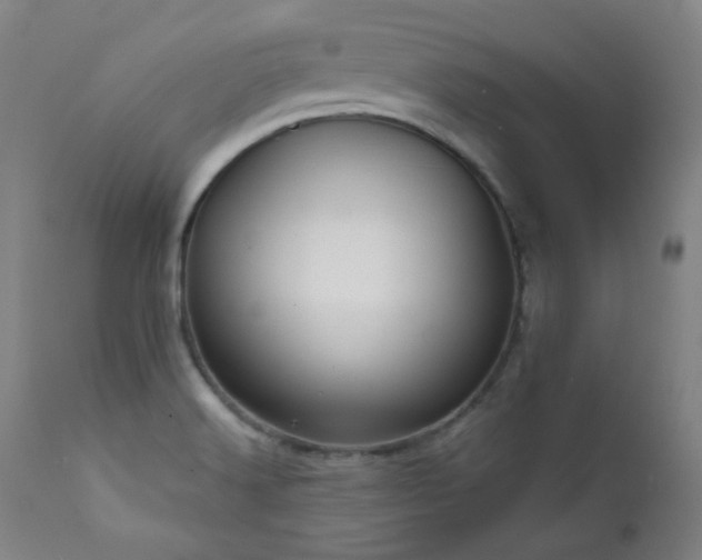 X0000111461516200907131442