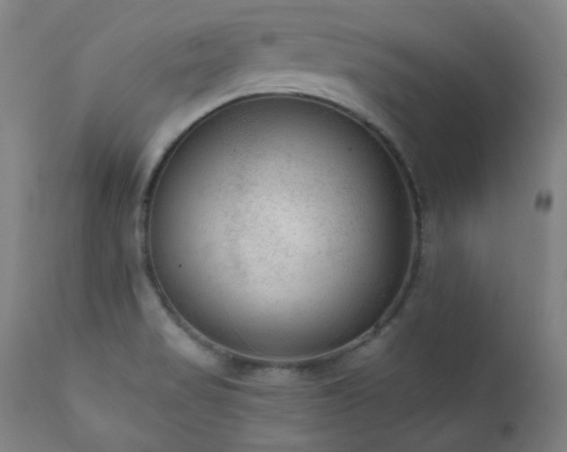 X0000111461517200907131442