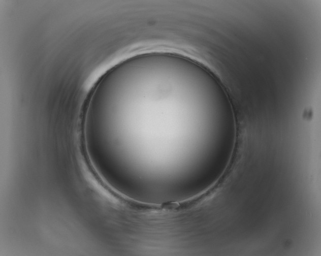X0000111461518200907131442