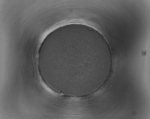 X0000111461519200907131442