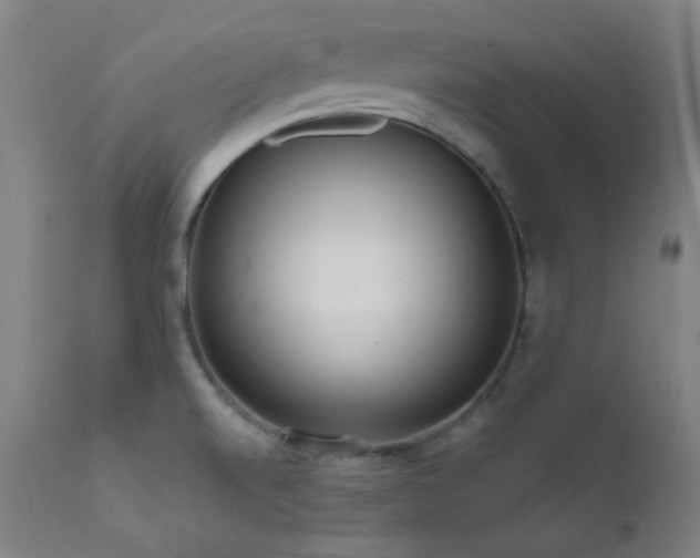 X0000111461520200907131442