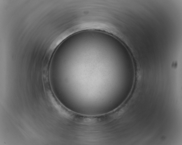 X0000111461521200907131442