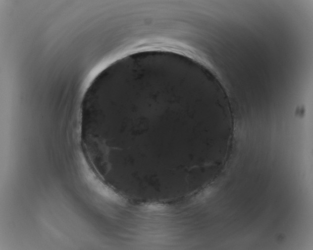 X0000111461522200907131442