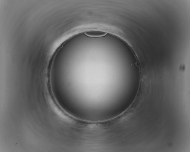 X0000111461523200907131442