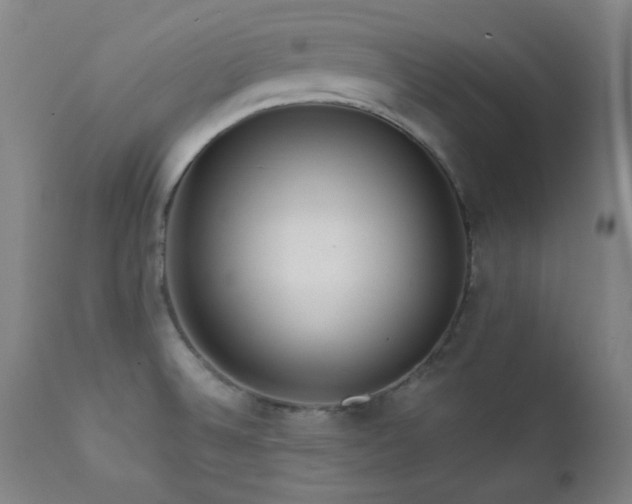 X0000111461524200907131442