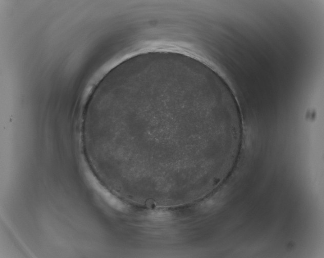 X0000111461525200907131442