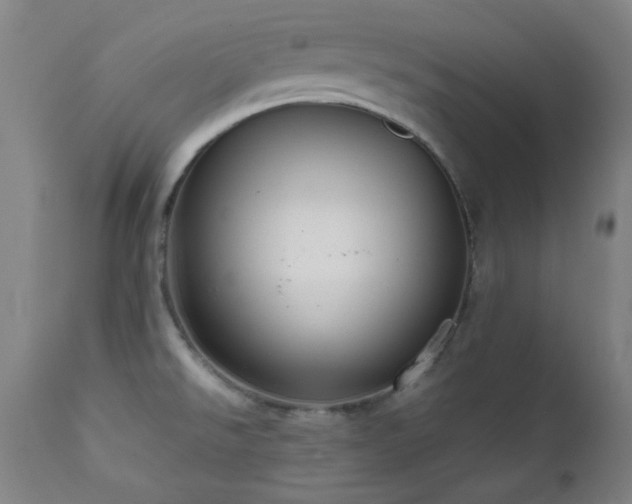 X0000111461526200907131442