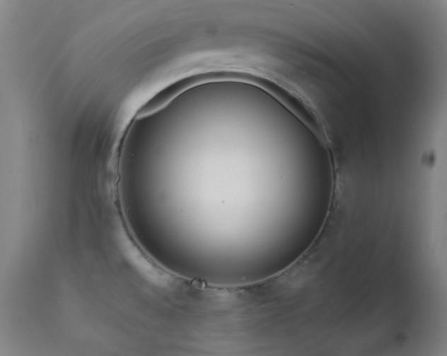 X0000111461528200907131442