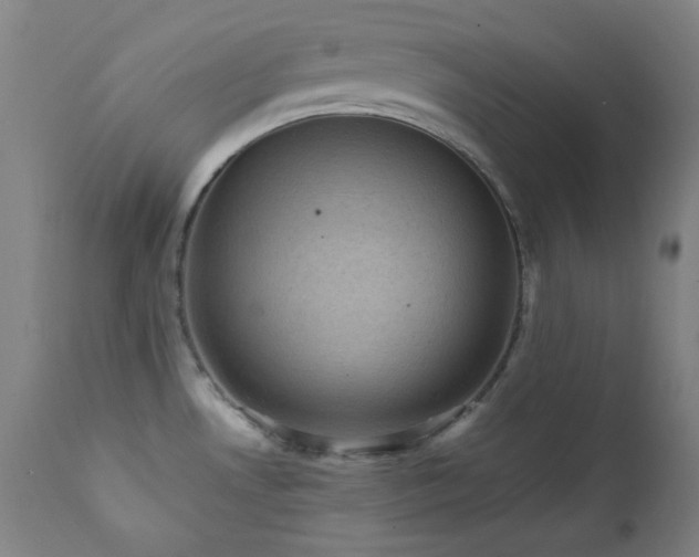 X0000111461530200907131442