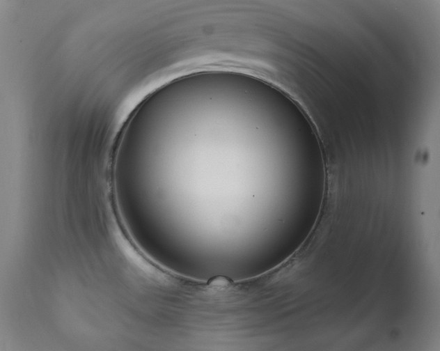X0000111461531200907131442