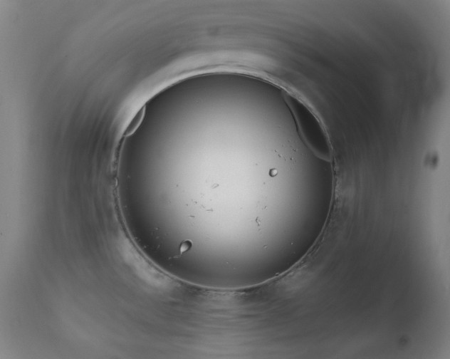 X0000111461532200907131442