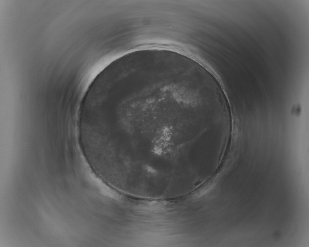 X0000111461533200907131442