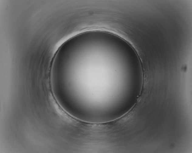 X0000111461534200907131442