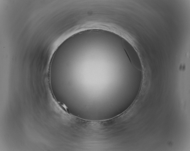 X0000111461536200907131442
