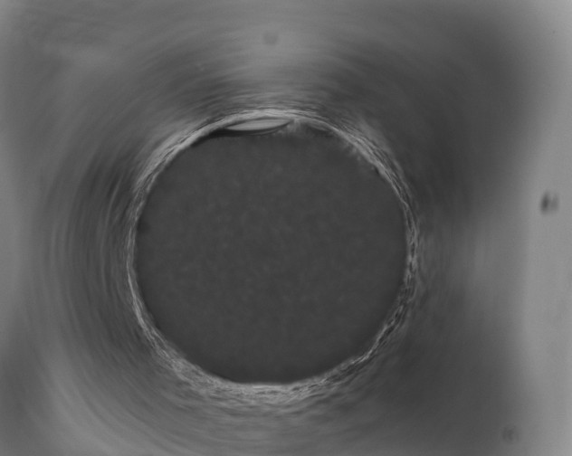 X0000111460001200907201123