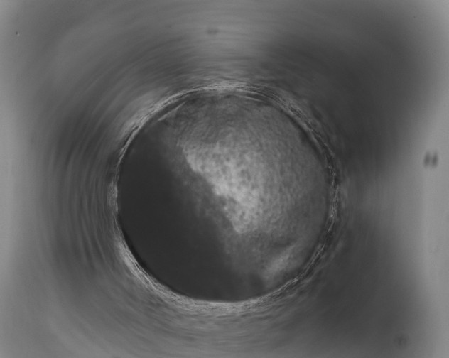 X0000111460002200907201123