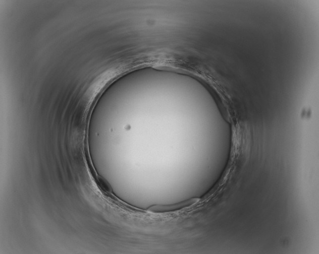 X0000111460003200907201123