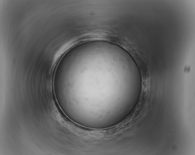 X0000111460004200907201123