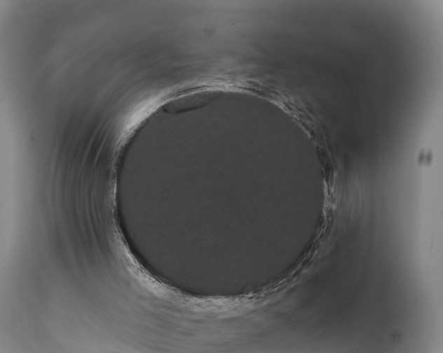 X0000111460005200907201123