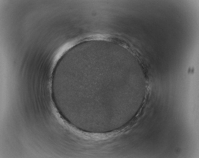 X0000111460006200907201123