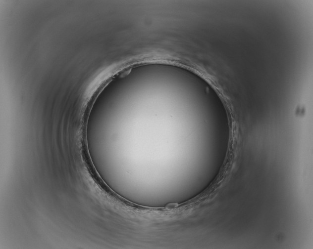 X0000111460007200907201123