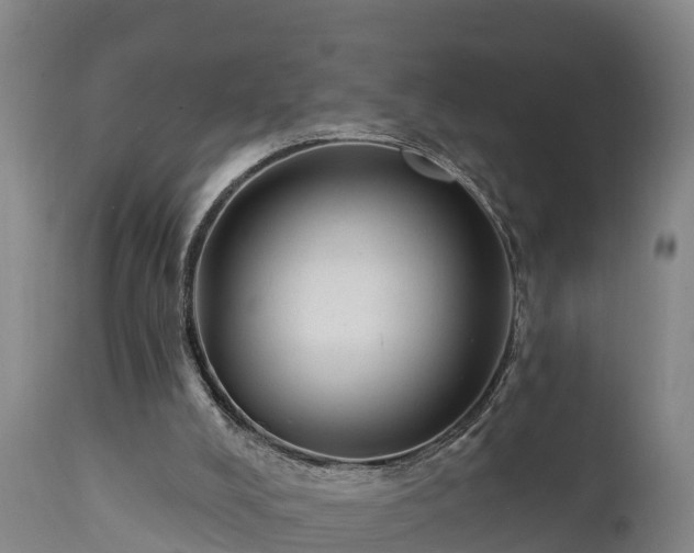 X0000111460008200907201123